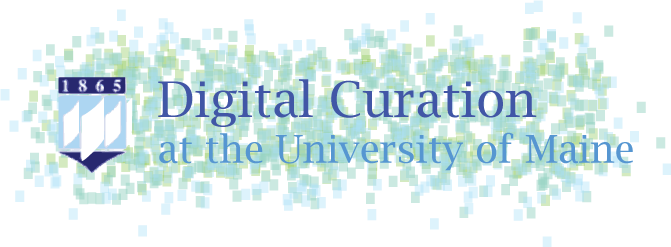 Digital Curation logo